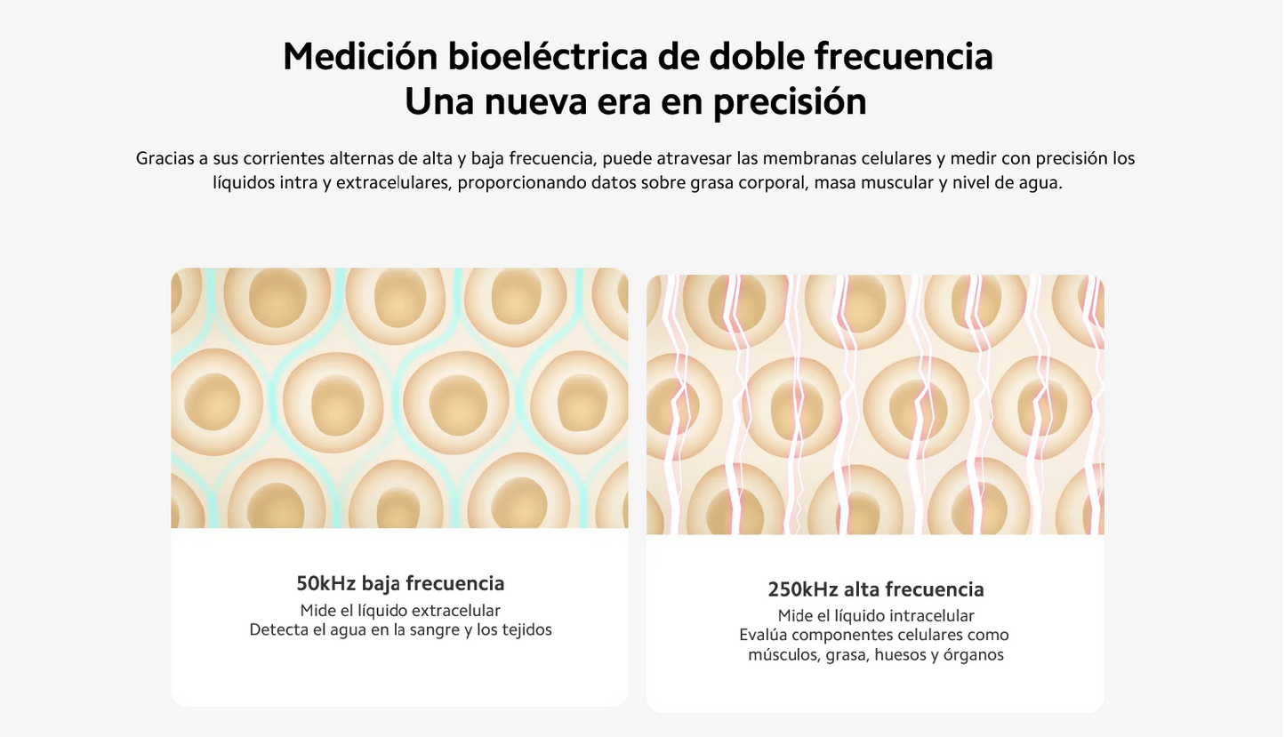 Xiaomi Pesa Body Composition Scale S400